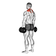 Animación de dumbbell shrug