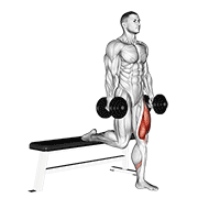Animación de dumbbell single leg split squat