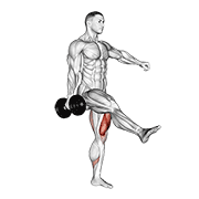 Animación de dumbbell single leg squat