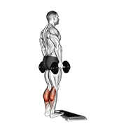 Animación de dumbbell standing calf raise