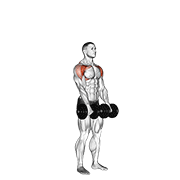 Animación de dumbbell standing front raise above head