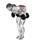 Animación de dumbbell standing kickback