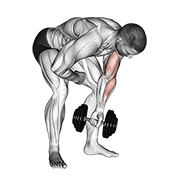 Animación de dumbbell standing one arm concentration curl