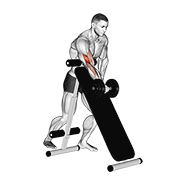 Animación de dumbbell standing one arm curl (over incline bench)