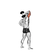 Animación de dumbbell standing one arm extension