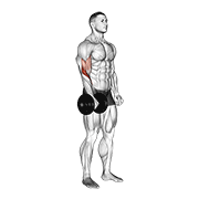 Animación de dumbbell standing one arm reverse curl