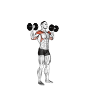 Animación de dumbbell standing overhead press