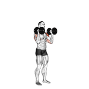 Animación de dumbbell standing palms in press