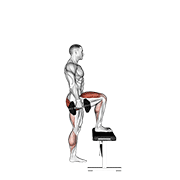 Animación de dumbbell step-up