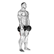 Animación de dumbbell stiff leg deadlift