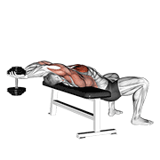 Animación de dumbbell straight arm pullover