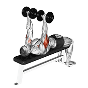 Animación de dumbbell tate press