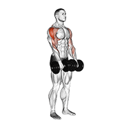 Animación de dumbbell upright row