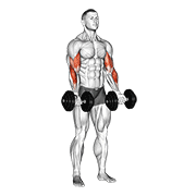 Animación de dumbbell zottman curl