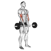 Animación de ez barbell close-grip curl