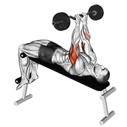 Animación de ez barbell decline close grip face press