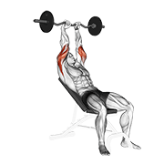 Animación de ez barbell incline triceps extension