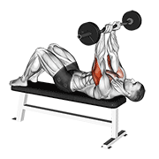 Animación de ez barbell jm bench press