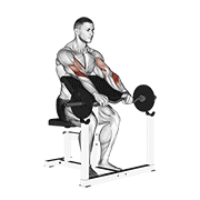 Animación de ez barbell reverse grip preacher curl