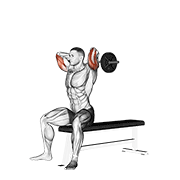 Animación de ez barbell seated triceps extension