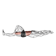 Animación de flexion leg sit up (bent knee)