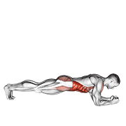 Animación de front plank with twist