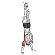 Animación de handstand push-up