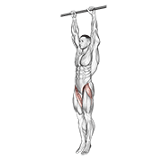 Animación de hanging leg raise