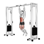 Animación de hanging straight leg hip raise