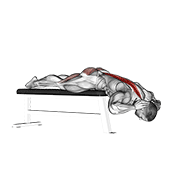 Animación de hyperextension (on bench)