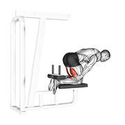 Animación de inverse leg curl (bench support)