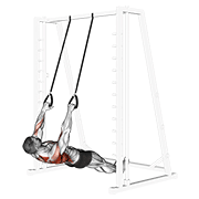 Animación de inverted row with straps