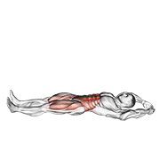 Animación de jackknife sit-up