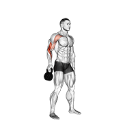 Animación de kettlebell bottoms up clean from the hang position