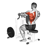 Animación de lever alternating narrow grip seated row