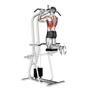 Animación de lever assisted chin-up