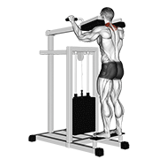 Animación de lever gripless shrug