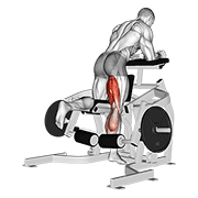 Animación de lever kneeling leg curl