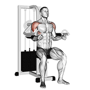 Animación de lever lateral raise