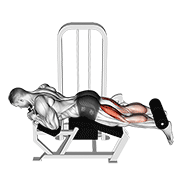Animación de lever lying leg curl