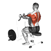Animación de lever narrow grip seated row