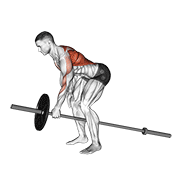 Animación de lever one arm bent over row