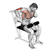 Animación de lever overhand triceps dip