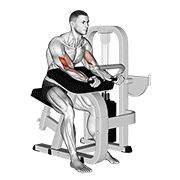 Animación de lever preacher curl
