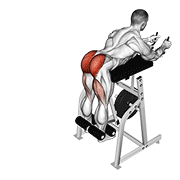 Animación de lever reverse hyperextension