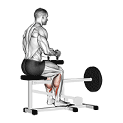 Animación de lever seated calf raise