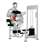 Animación de lever seated crunch (chest pad)