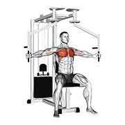 Animación de lever seated fly