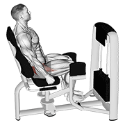 Animación de lever seated hip abduction