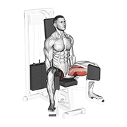 Animación de lever seated hip adduction